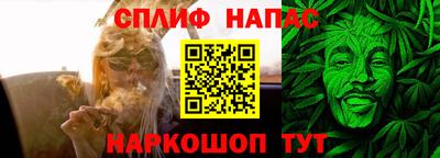прущие грибы Вязьма